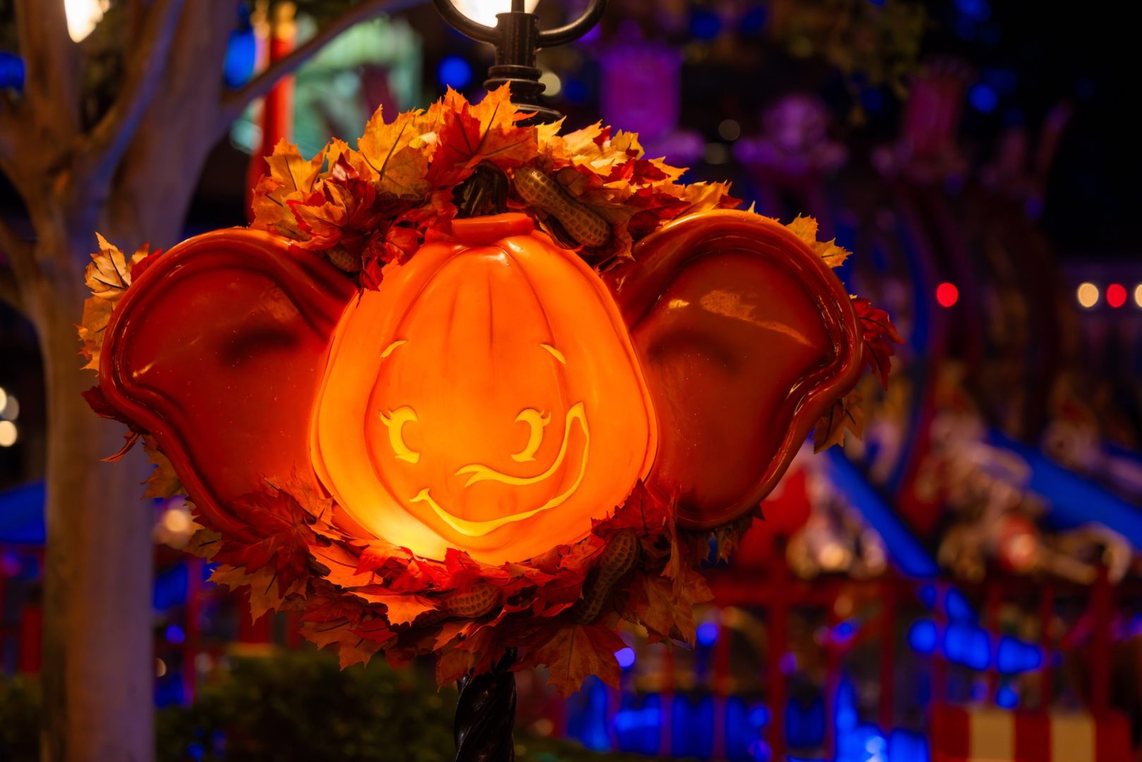Experience November at Walt Disney World Resort