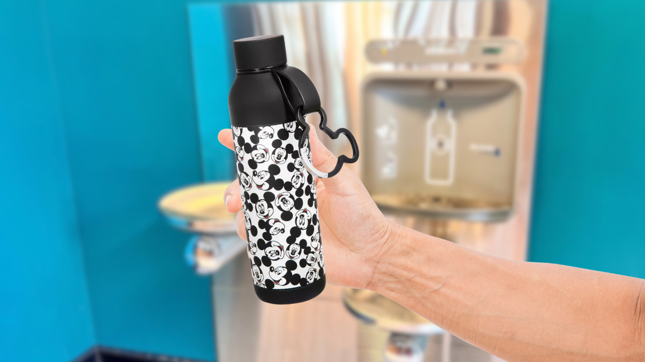 5 Free Walt Disney World Perks That Save You Money